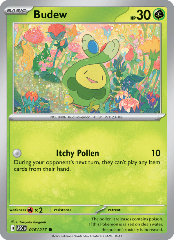 Budew — Pokémon card