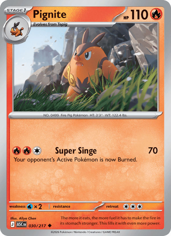 Pignite — Pokémon card