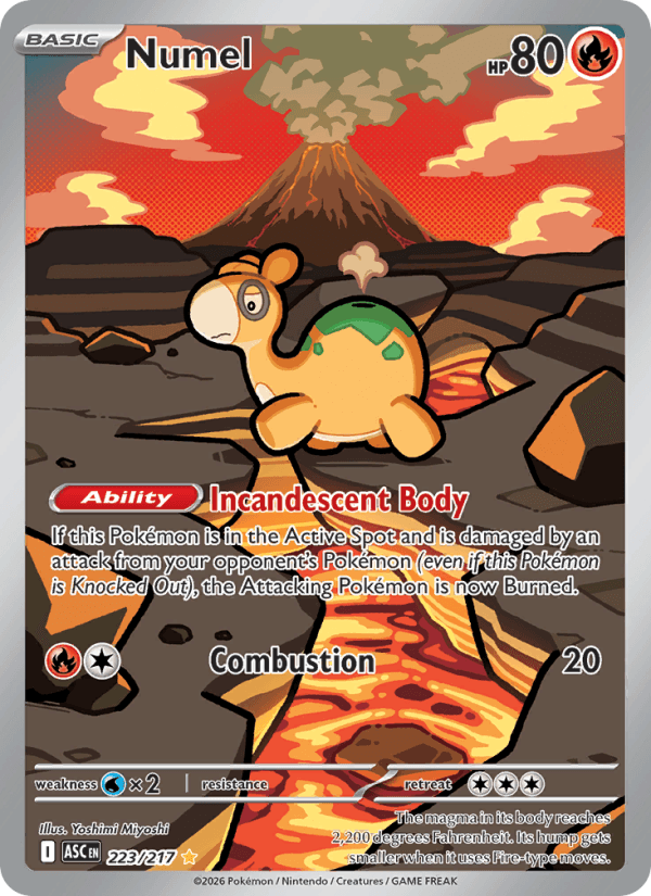 Numel — Pokémon card