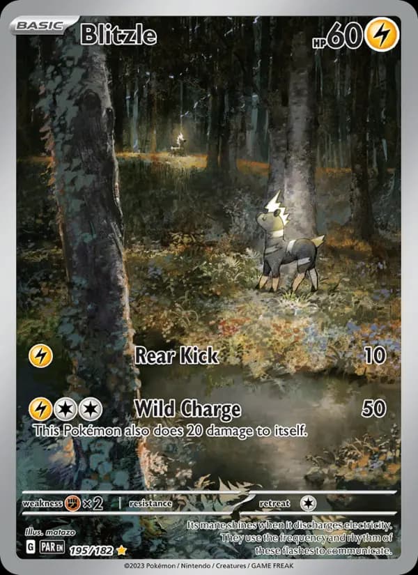 Blitzle — Pokémon card