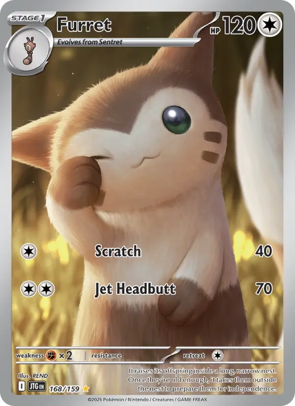 Furret — Pokémon card