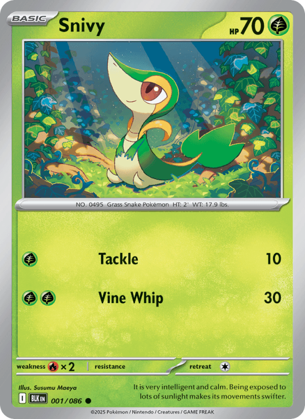 Snivy — Pokémon card