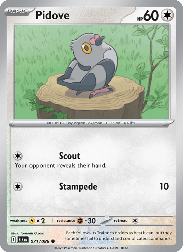 Pidove — Pokémon card