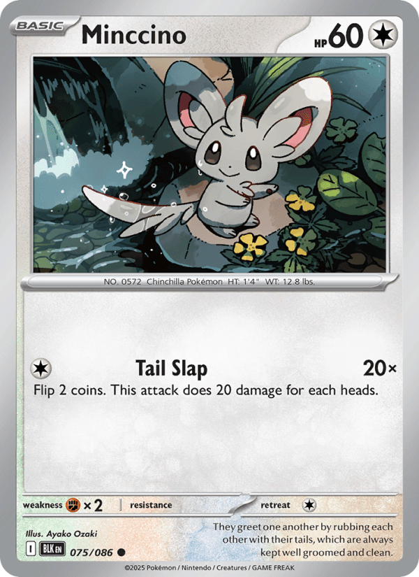 Minccino — Pokémon card