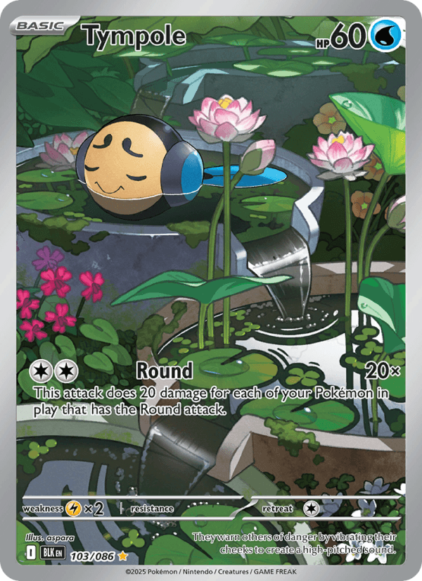 Tympole — Pokémon card