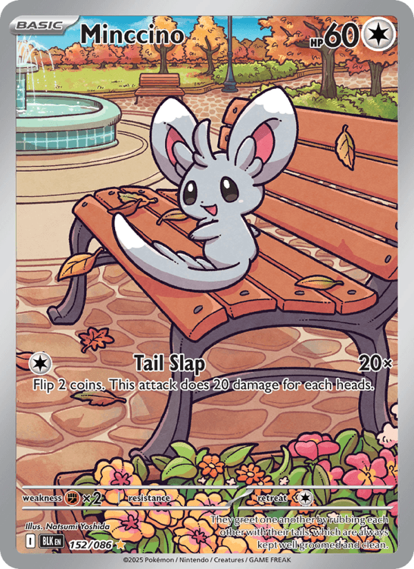 Minccino — Pokémon card