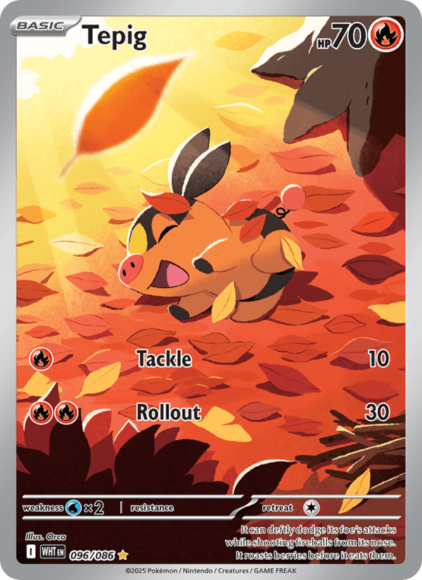 Tepig — Pokémon card