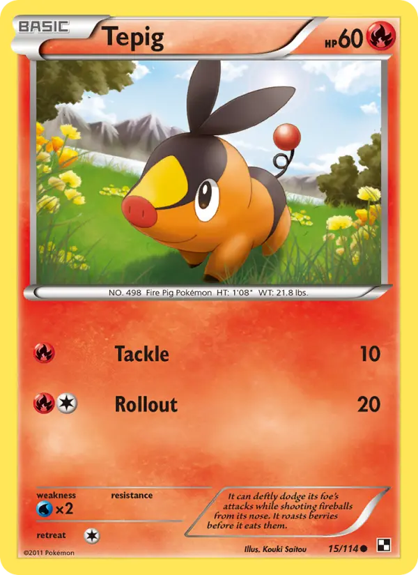 Tepig, Pokémon card