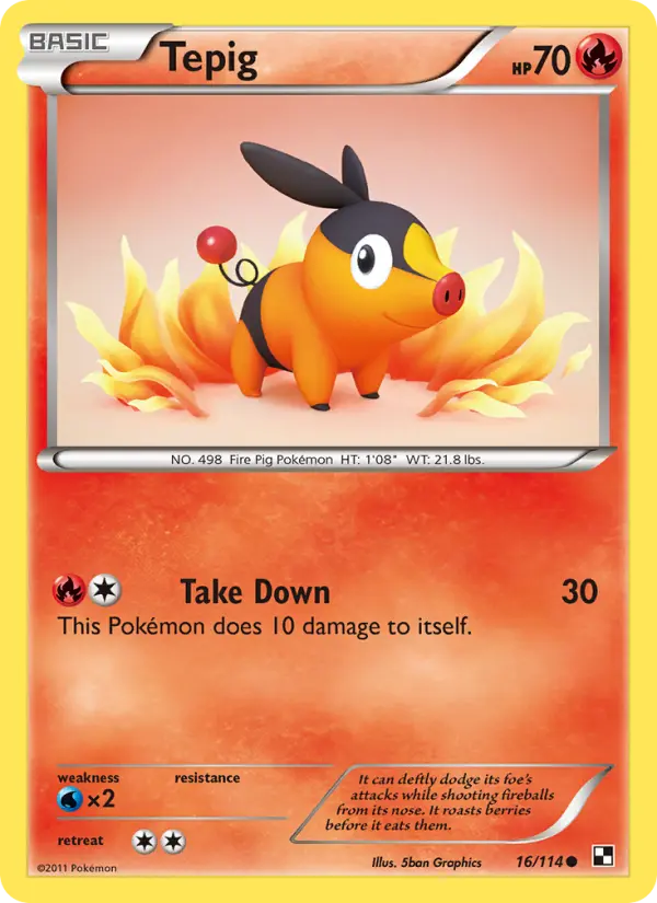 Tepig, Pokémon card