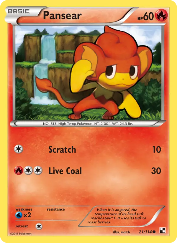 Pansear, Pokémon card