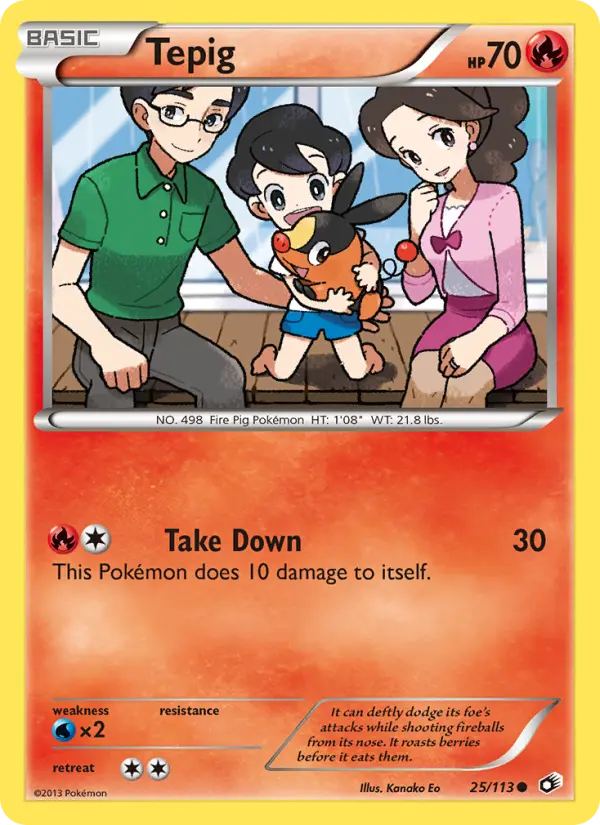 Tepig, Pokémon card