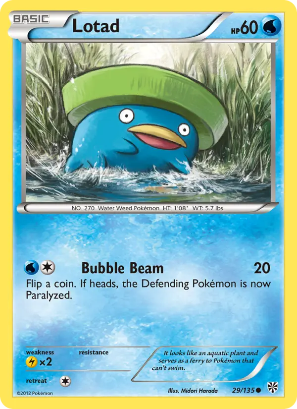 Lotad, Pokémon card