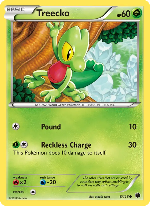 Treecko, Pokémon card