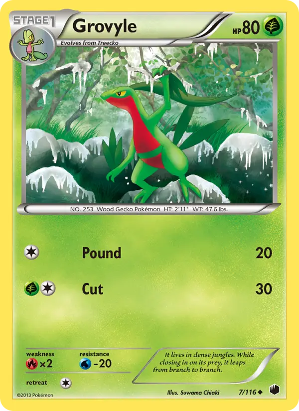 Grovyle, Pokémon card