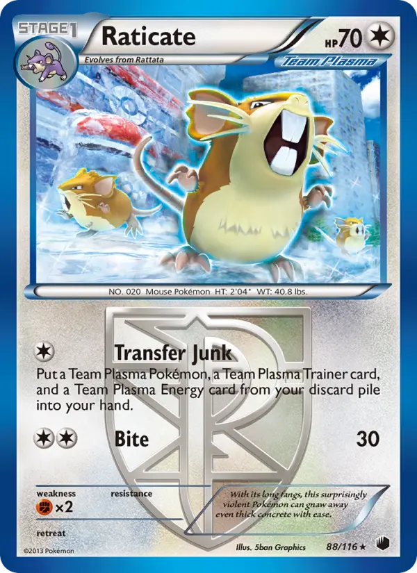 Raticate, Pokémon card