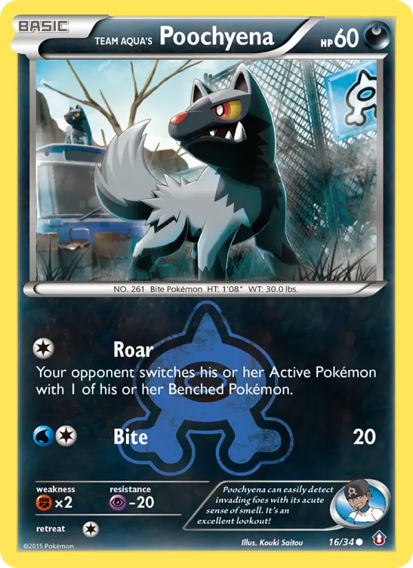 Team Aqua's Poochyena, Pokémon card