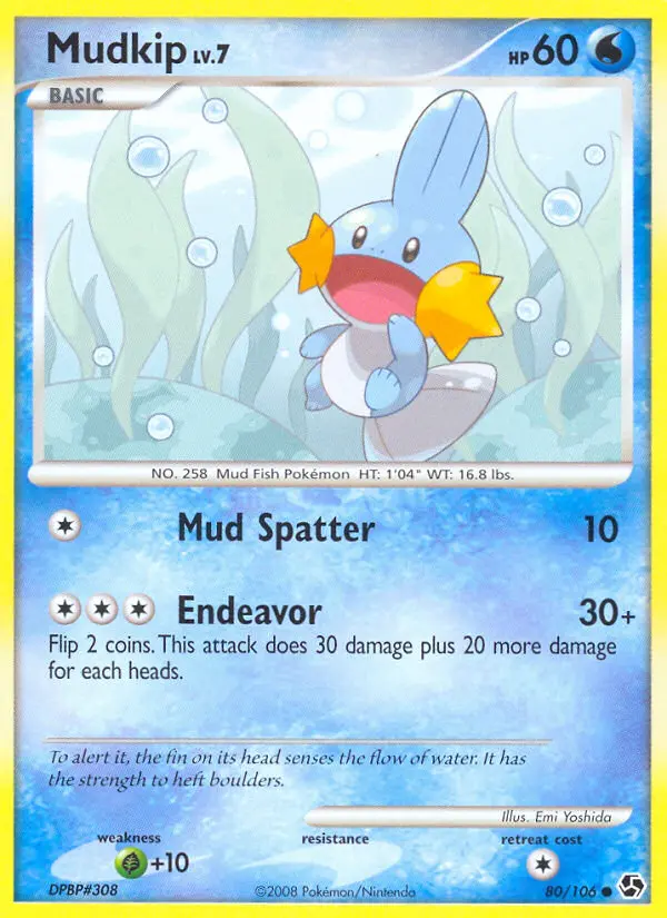 Mudkip, Pokémon card