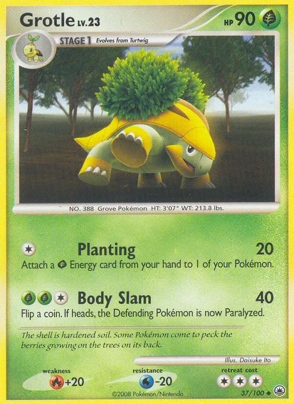 Grotle, Pokémon card