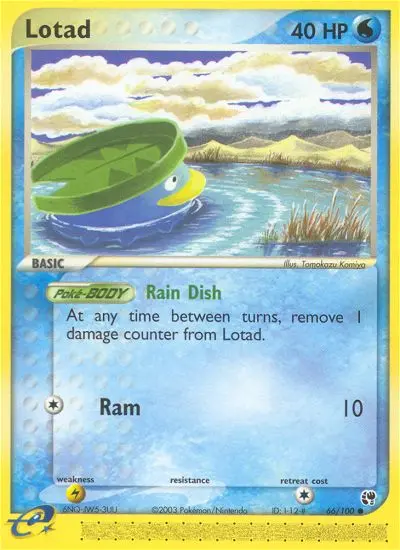Lotad, Pokémon card