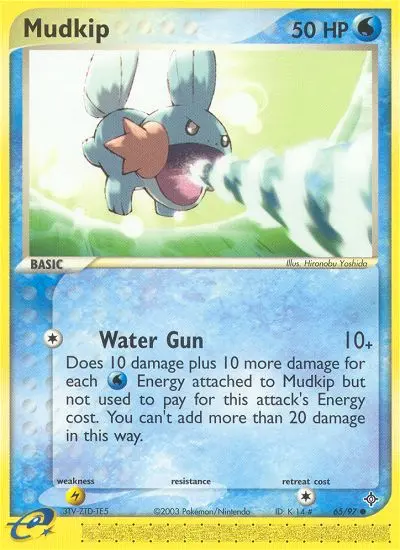 Mudkip, Pokémon card