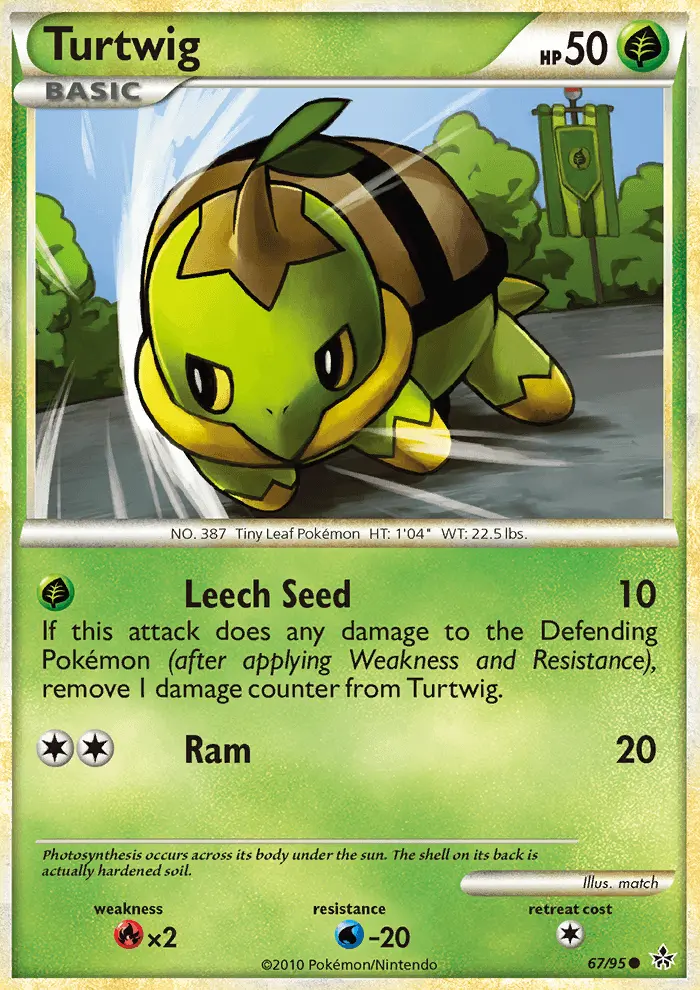 Turtwig, Pokémon card