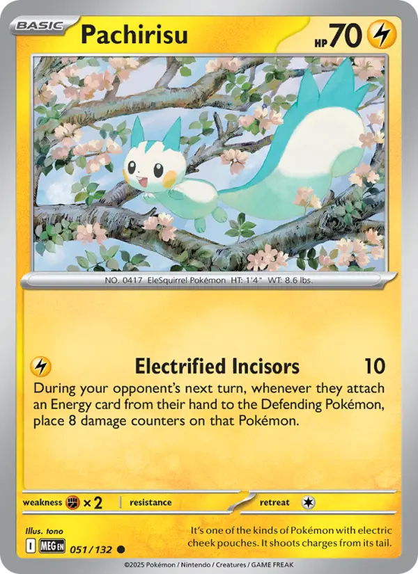 Pachirisu, Pokémon card
