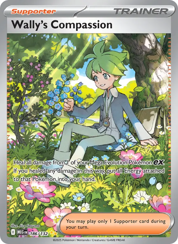 Wally's Compassion, Pokémon card