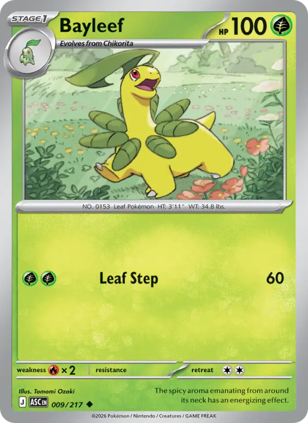Bayleef, Pokémon card