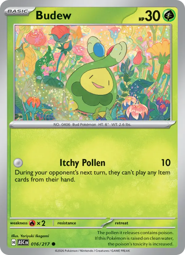 Budew, Pokémon card