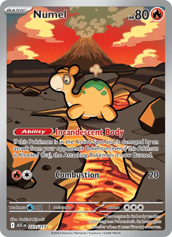 Numel, Pokémon card
