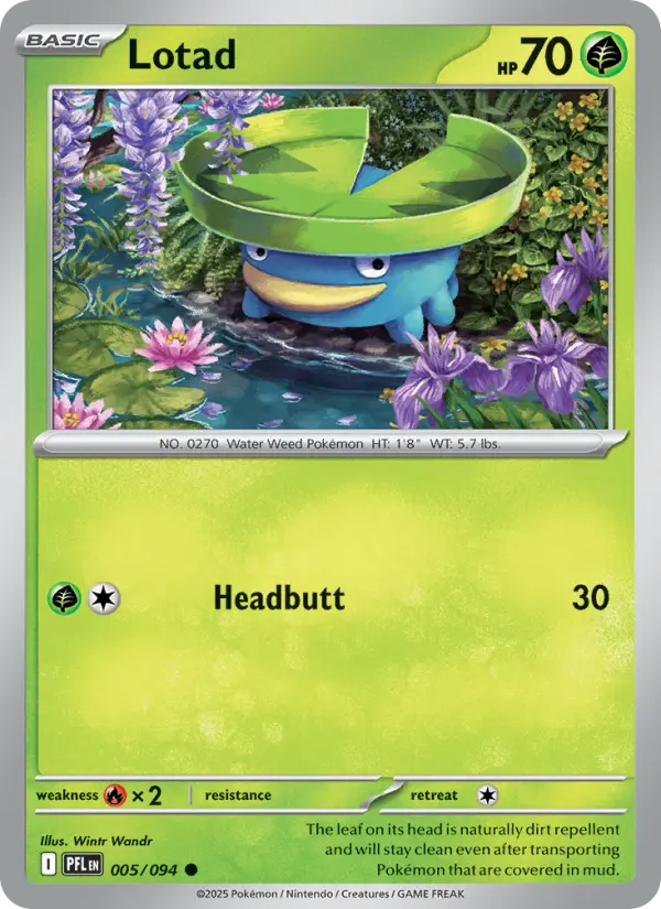 Lotad, Pokémon card
