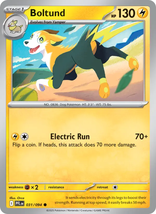 Boltund, Pokémon card