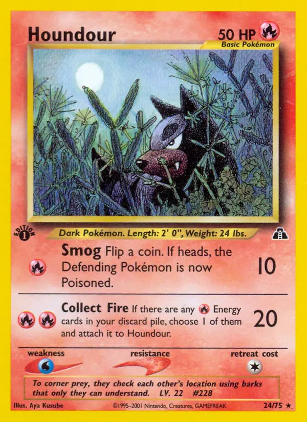 Houndour, Pokémon card