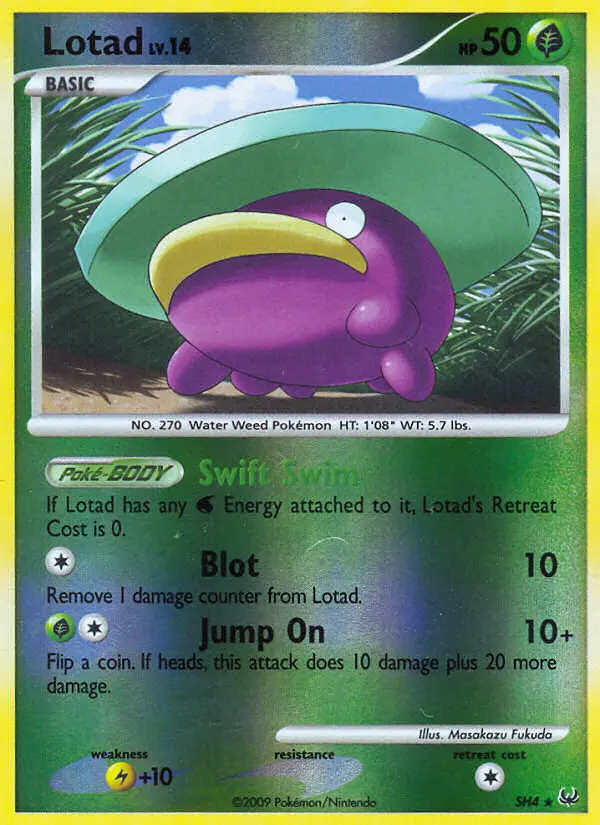 Lotad, Pokémon card