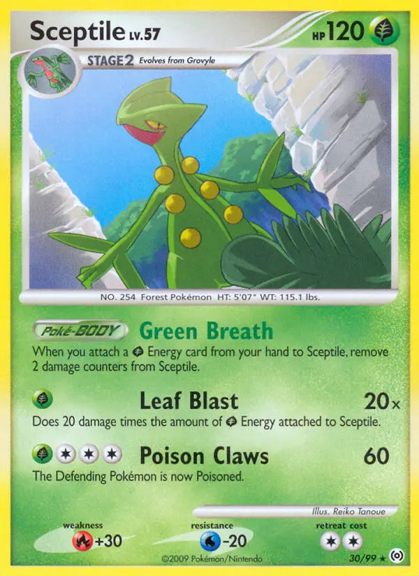 Sceptile, Pokémon card