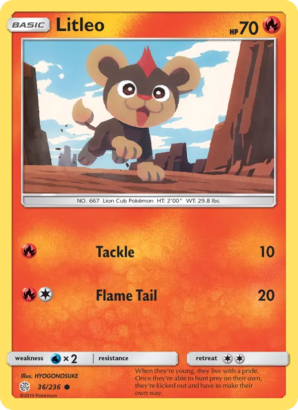 Litleo, Pokémon card
