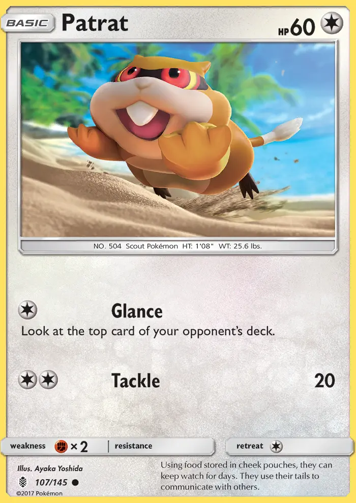 Patrat, Pokémon card