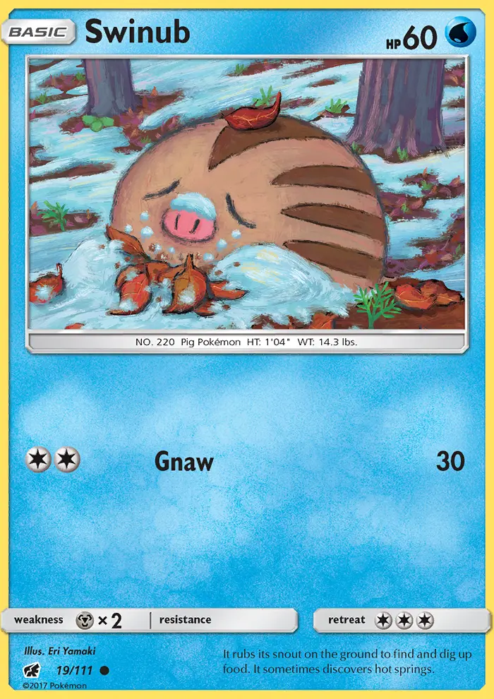 Swinub, Pokémon card