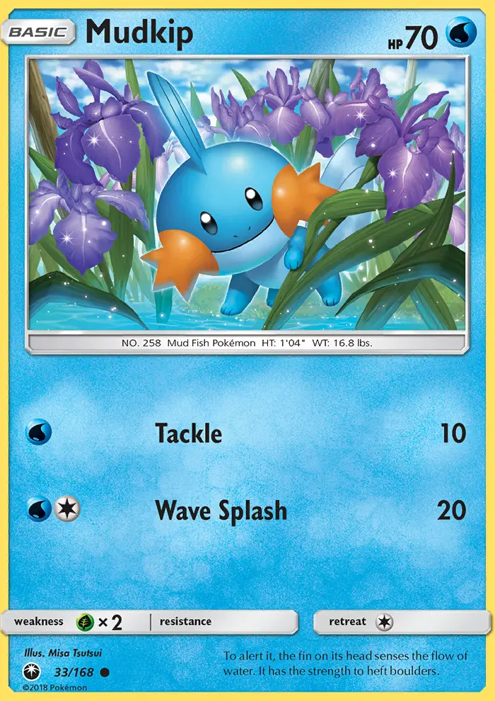 Mudkip, Pokémon card