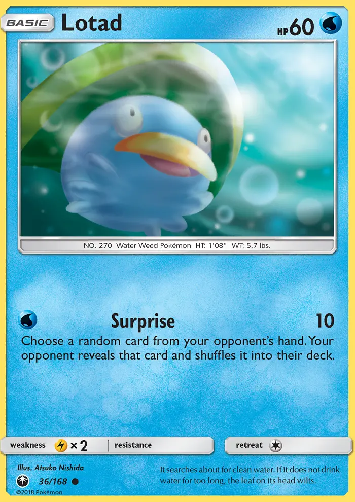Lotad, Pokémon card