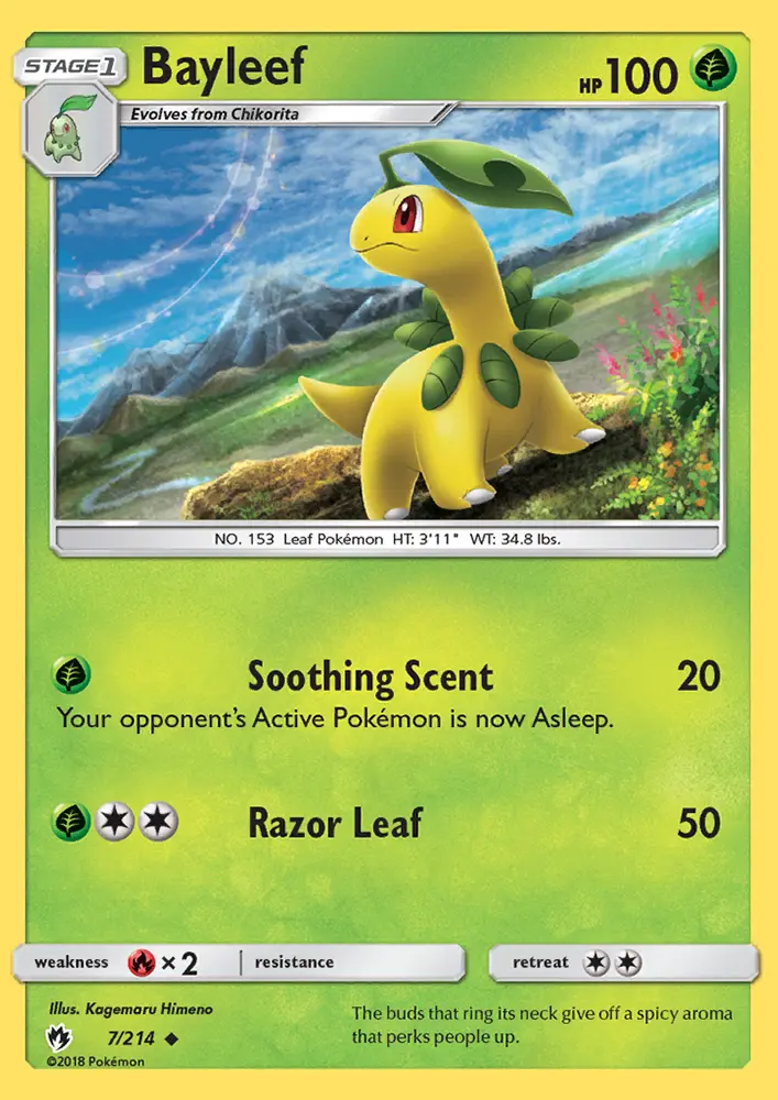 Bayleef, Pokémon card