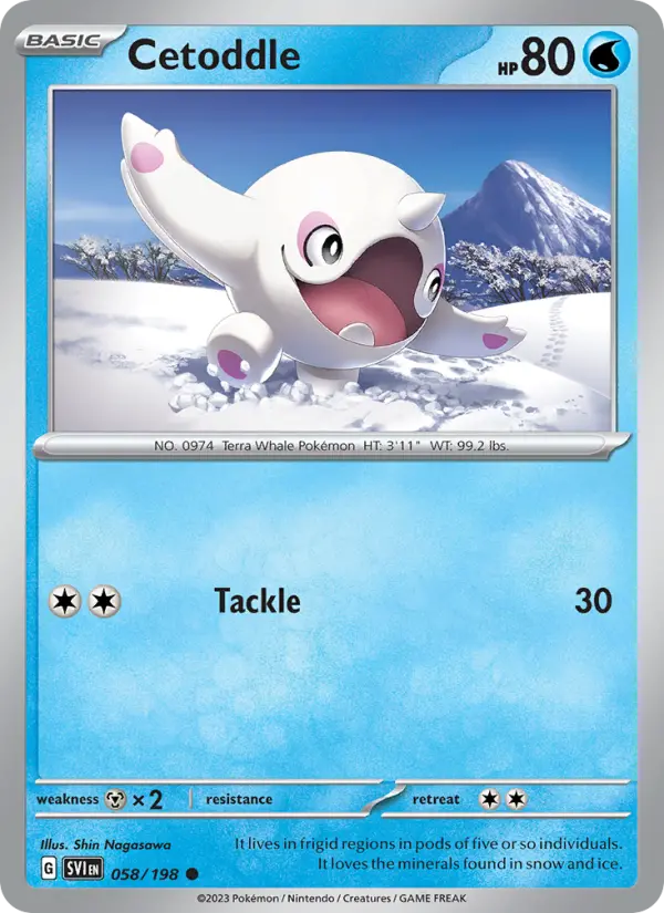 Cetoddle, Pokémon card