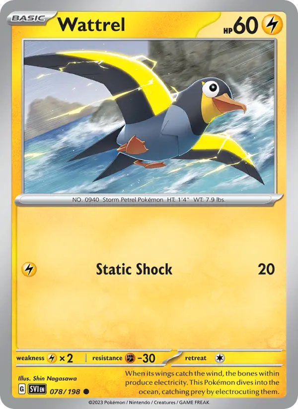 Wattrel, Pokémon card