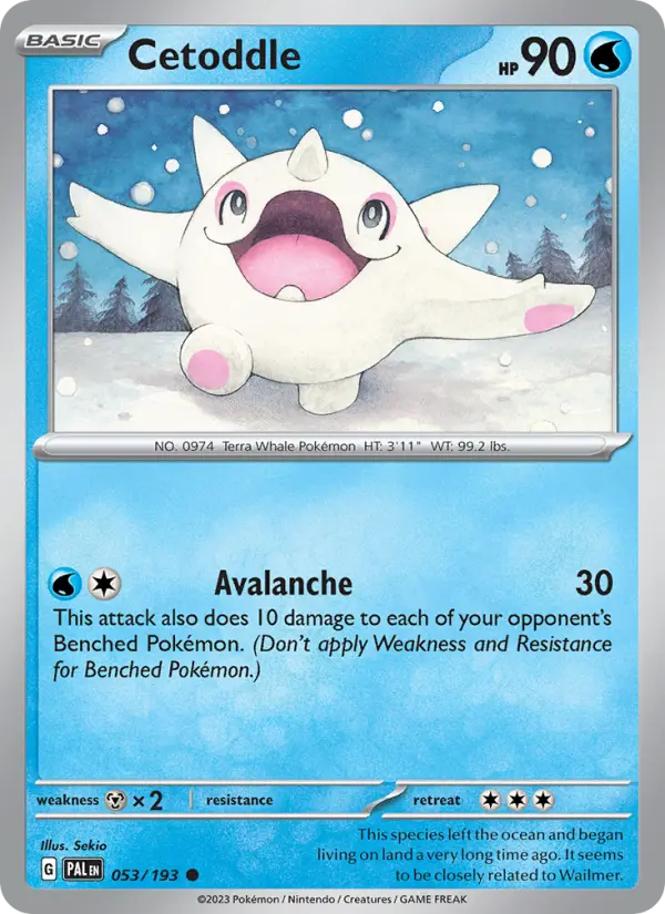 Cetoddle, Pokémon card