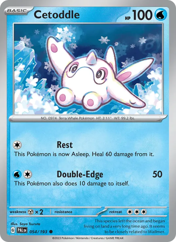 Cetoddle, Pokémon card
