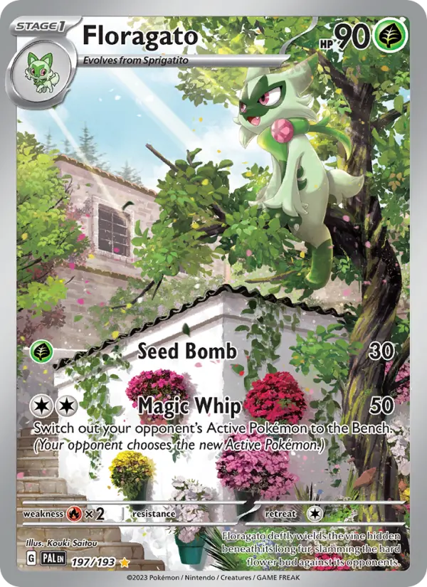 Floragato, Pokémon card