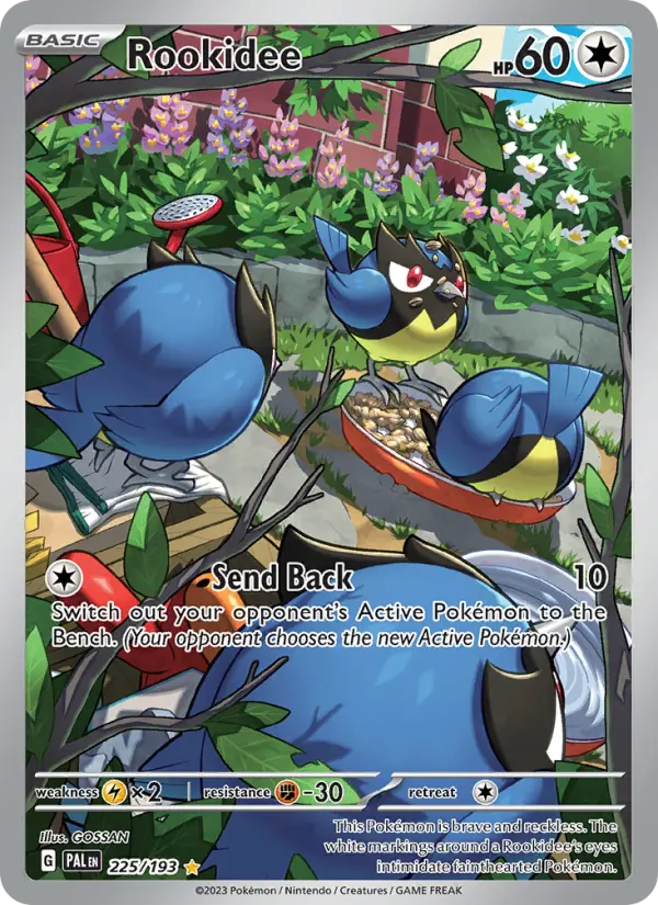 Rookidee, Pokémon card