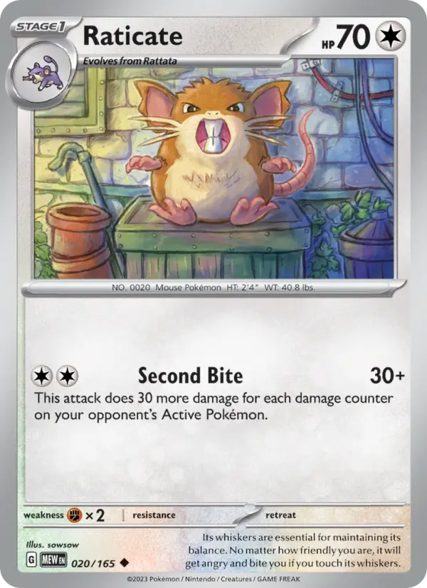 Raticate, Pokémon card