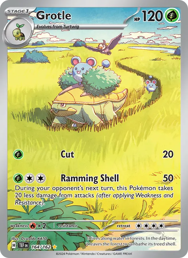 Grotle, Pokémon card