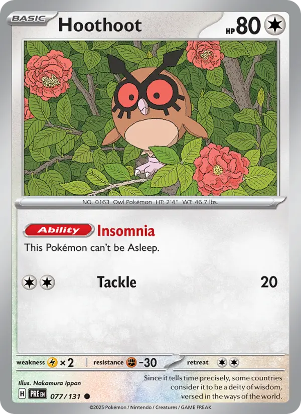 Hoothoot, Pokémon card